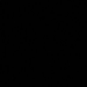 Meet your Posher, Allie